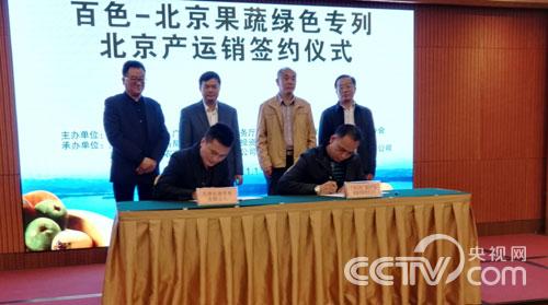 &ldquo;百色一號&rdquo;果蔬產運銷對接簽單1.5億元_三農頻道_央視網(cctv.com)