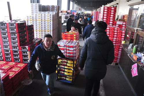 青島 春節(jié)水果市場(chǎng)火爆