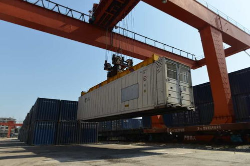 云南愛心專列今日抵到咸寧 22個集裝箱滿載280噸綠色農(nóng)產(chǎn)品