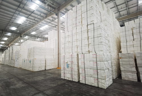 山東國(guó)際大宗商品交易市場(chǎng)指定交收倉庫總面積超70萬㎡