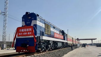 冷藏集裝箱班列首發(fā) 臨沂冷凍食品新鮮走進(jìn)成都 重慶